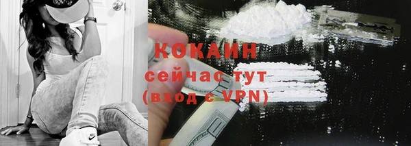 мяу мяу мука Бородино