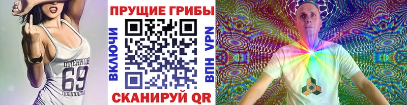 закладки  Ковров  hydra сайт  Псилоцибиновые грибы мухоморы 